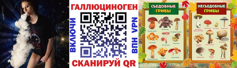 Псилоцибиновые грибы мицелий  цены наркотик  Щёкино 